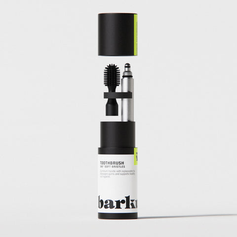 Toothbrush Aluminium
