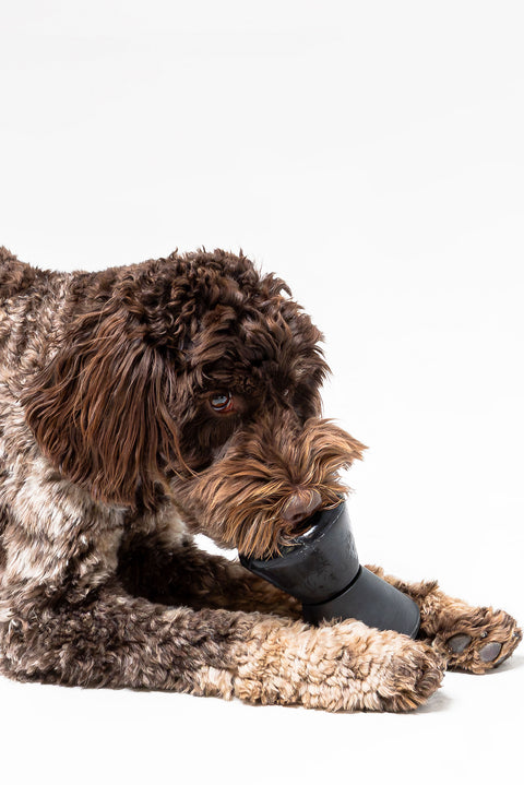 NOT JUST ANOTHER TOY