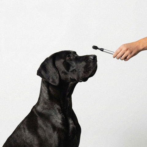 Toothbrush Aluminum 06