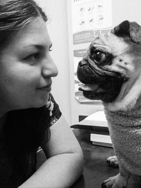 The Golden Standard: A Vet Tech's Guide to the Reality of Pet Oral Health