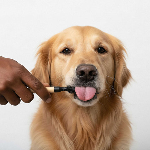 Toothbrush Bamboo